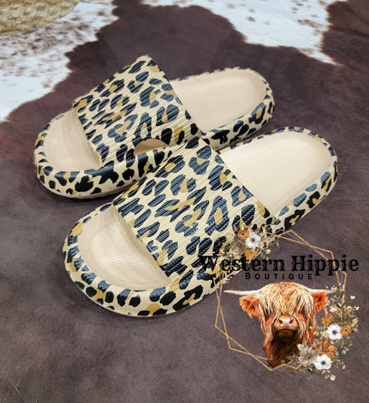 Leopard slides